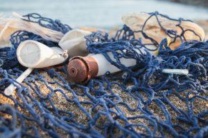 Environment - plastic bottles on net